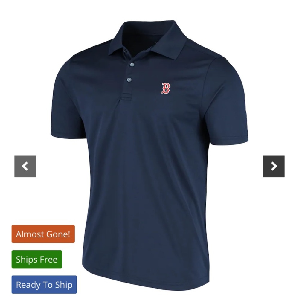 Boston polo